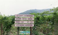 第291站·海口·远方的风景