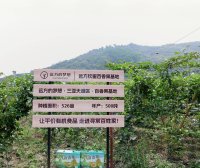 第291站·海口·远方的风景