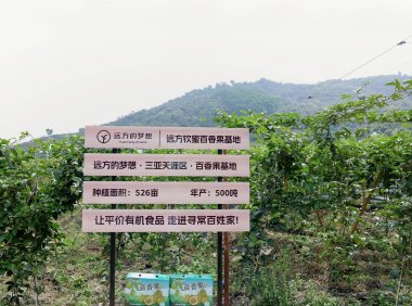 第291站·海口·远方的风景