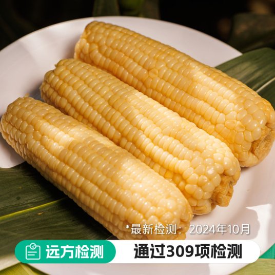 玉膳房非转基因甜糯玉米【通过远方309项检测】独立种子知识产权 东北黑土地种植锁鲜技术微甜不腻