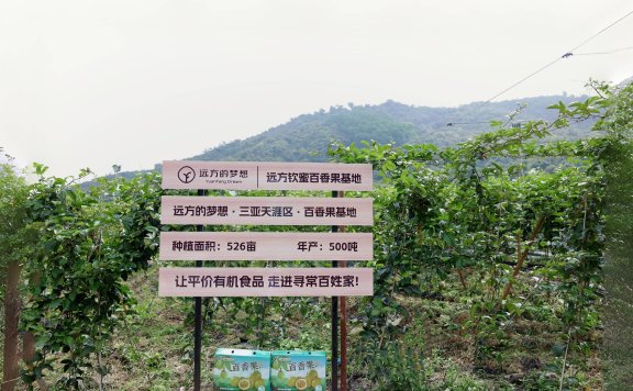 第291站·海口·远方的风景