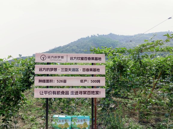 第291站·海口·远方的风景