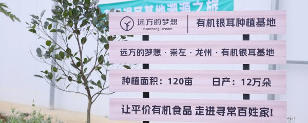 第289站·崇左