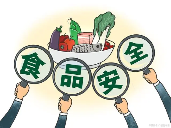 中国现在最大的问题是食品不安全